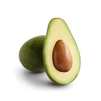 ALTZutano Avocado